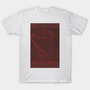 Solar Protuberances by Etienne Leopold Trouvelot T-Shirt